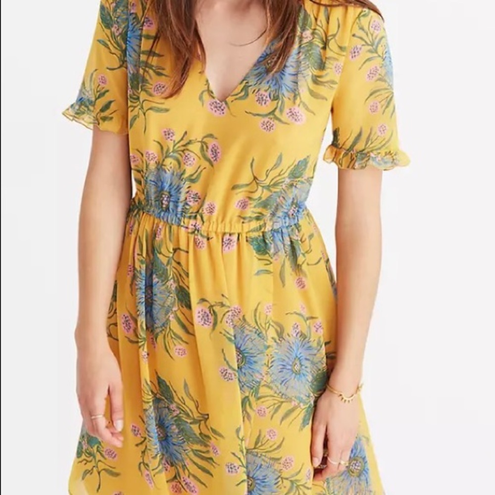 Madewell Sweetgrass Dress In Painted Blooms